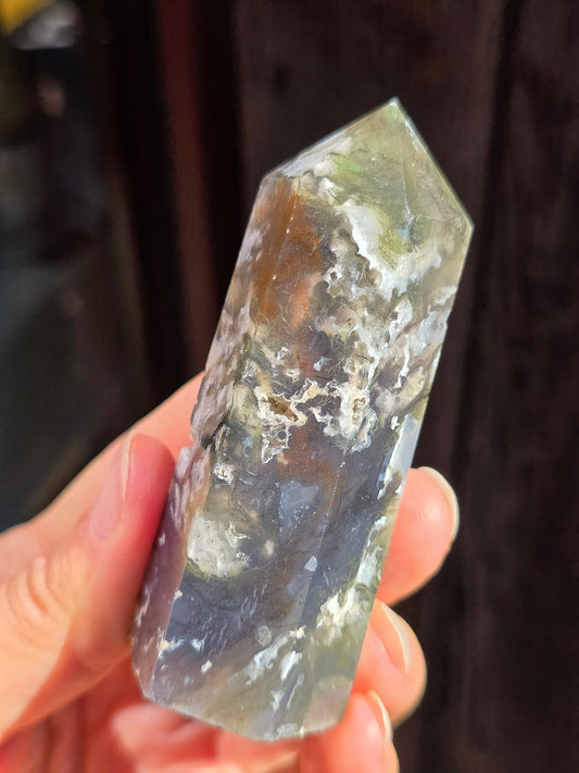 Pointe Agate mousse A1