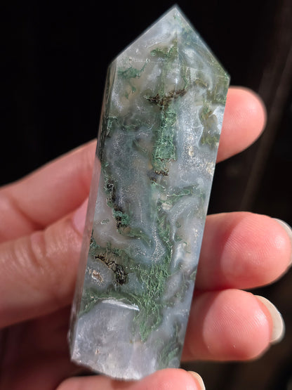 Pointe Agate mousse A3