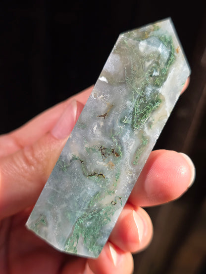 Pointe Agate mousse A3