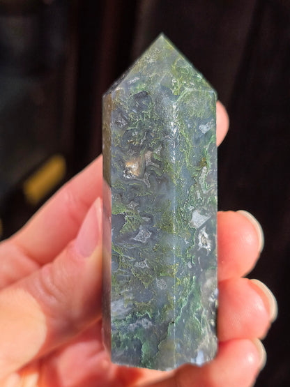 Pointe Agate mousse A6