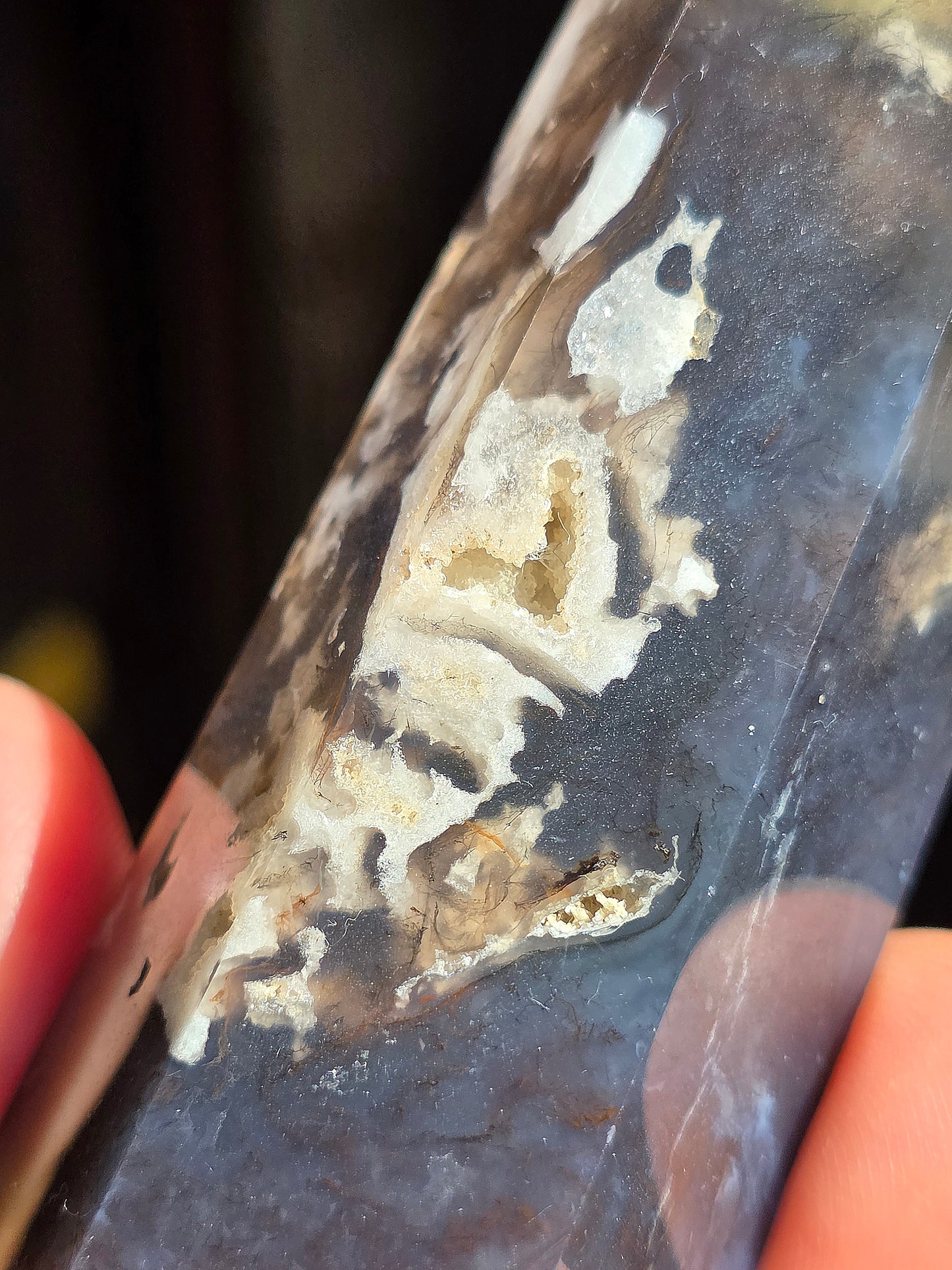 Pointe Agate mousse A7
