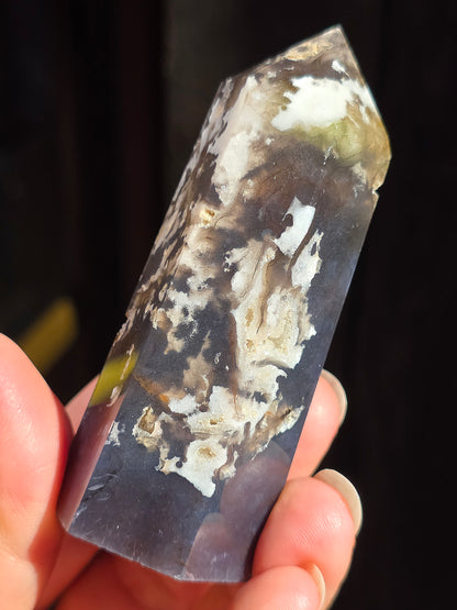 Pointe Agate mousse A7