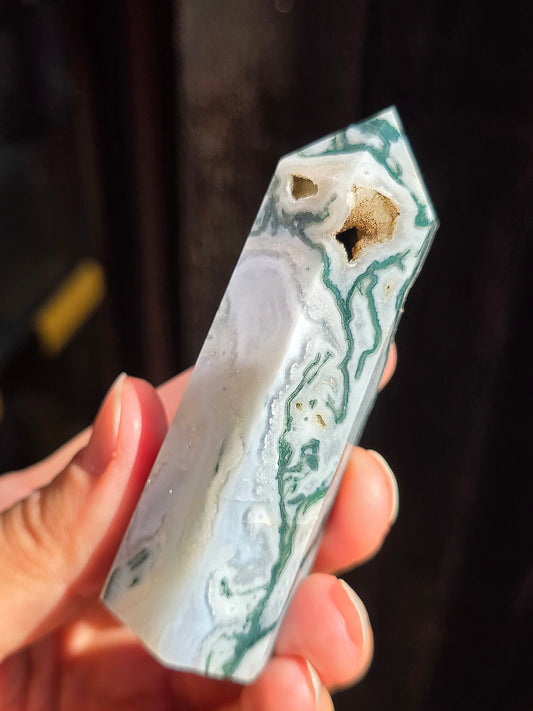 Pointe Agate arbre A8
