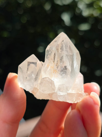Quartz Himalaya (Samadhi) n°7