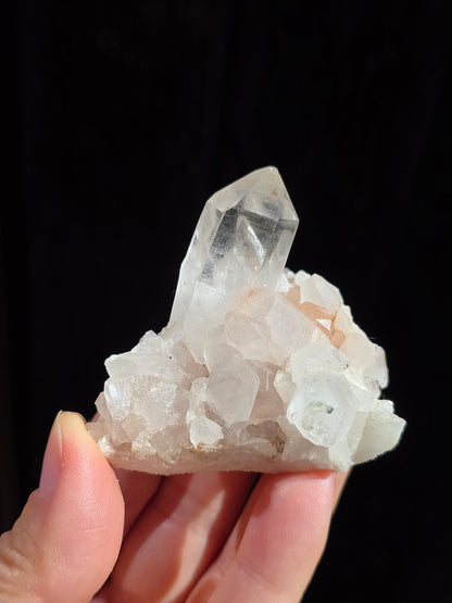 Quartz Himalaya (Samadhi) n°9