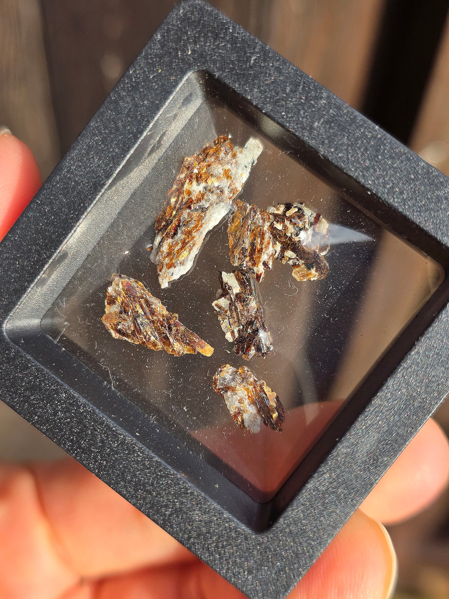Boîte vitrine contenant de l'Astrophyllite de Russie (à choisir)