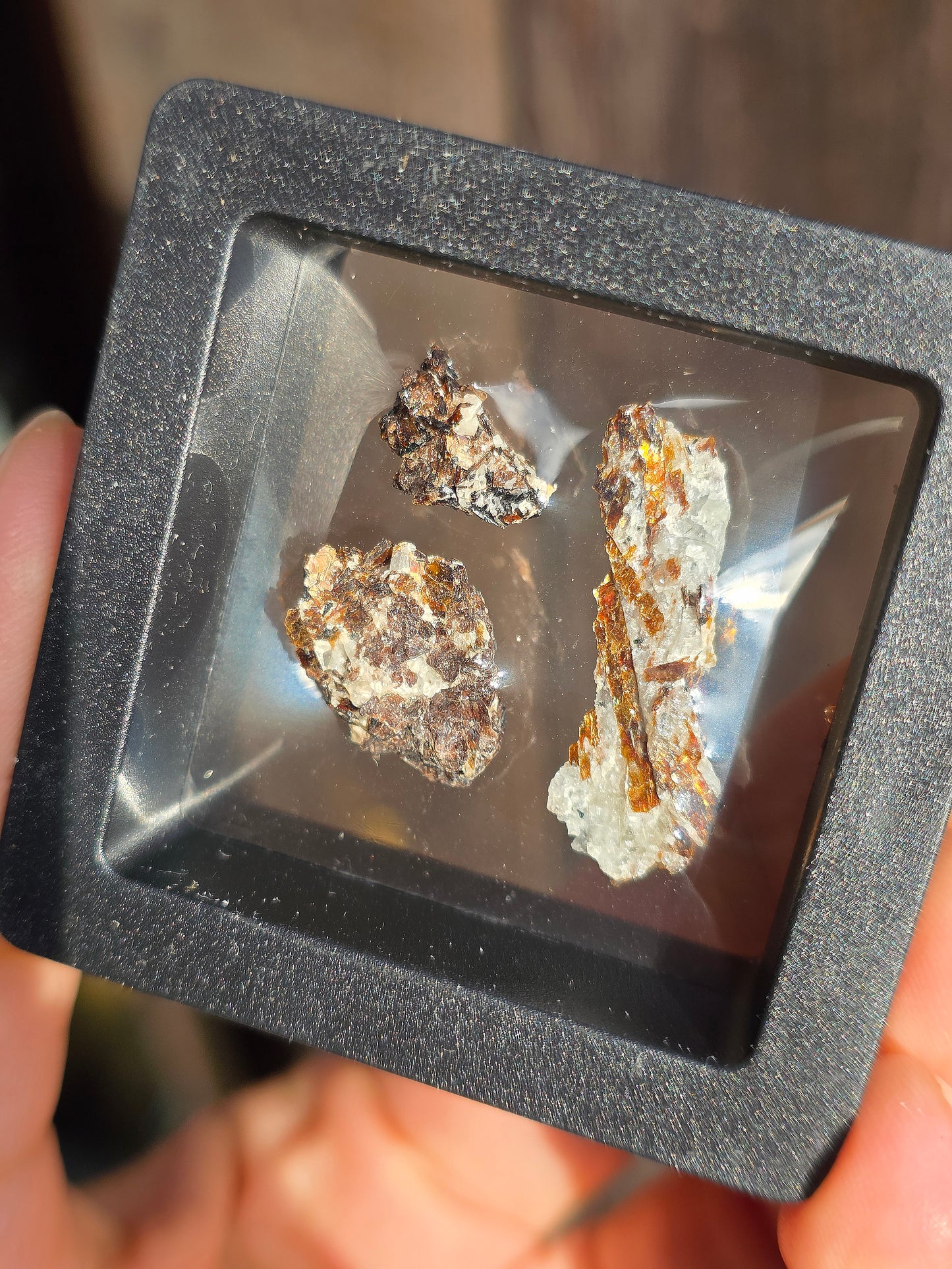 Boîte vitrine contenant de l'Astrophyllite de Russie (à choisir)