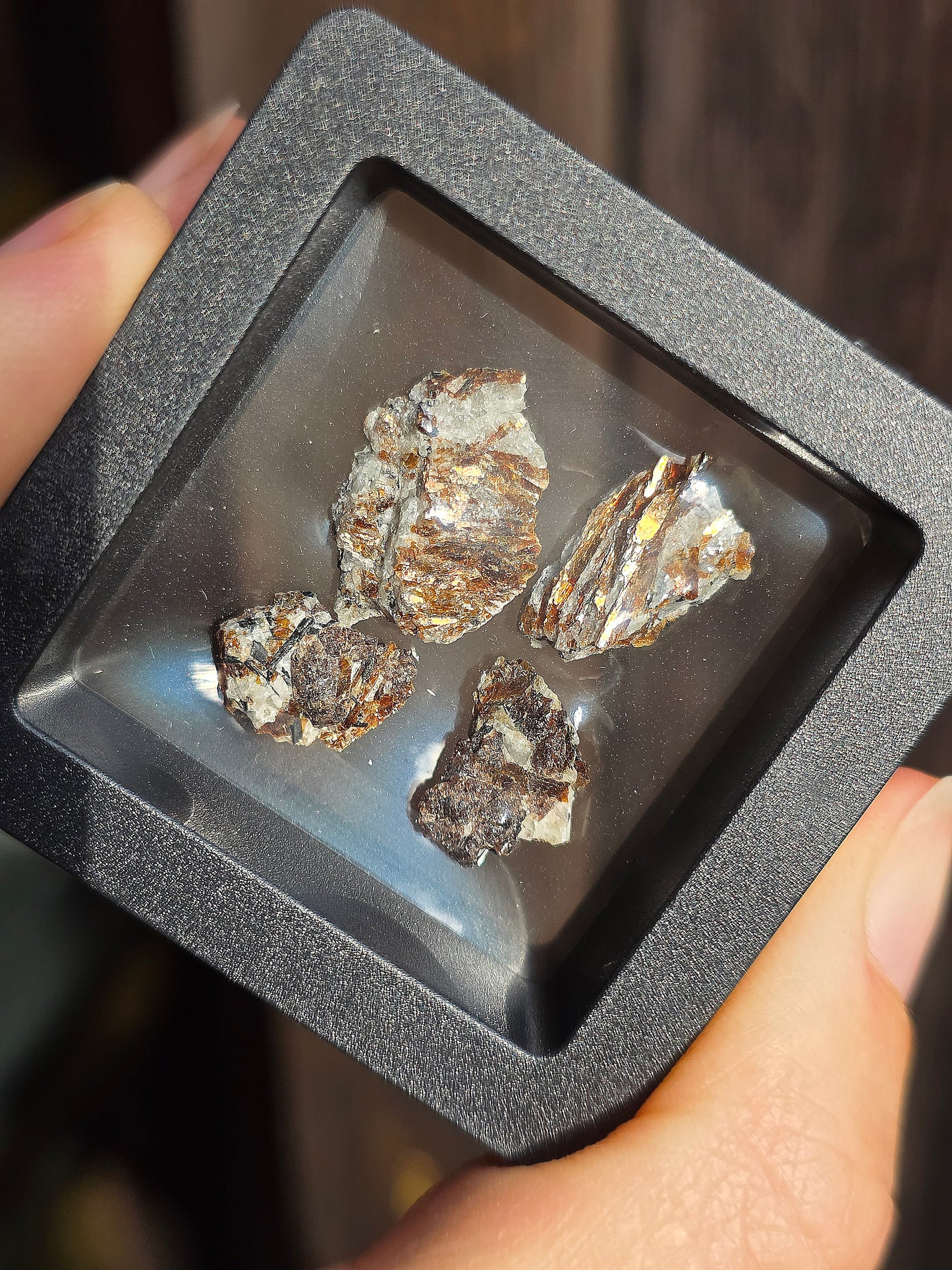 Boîte vitrine contenant de l'Astrophyllite de Russie (à choisir)