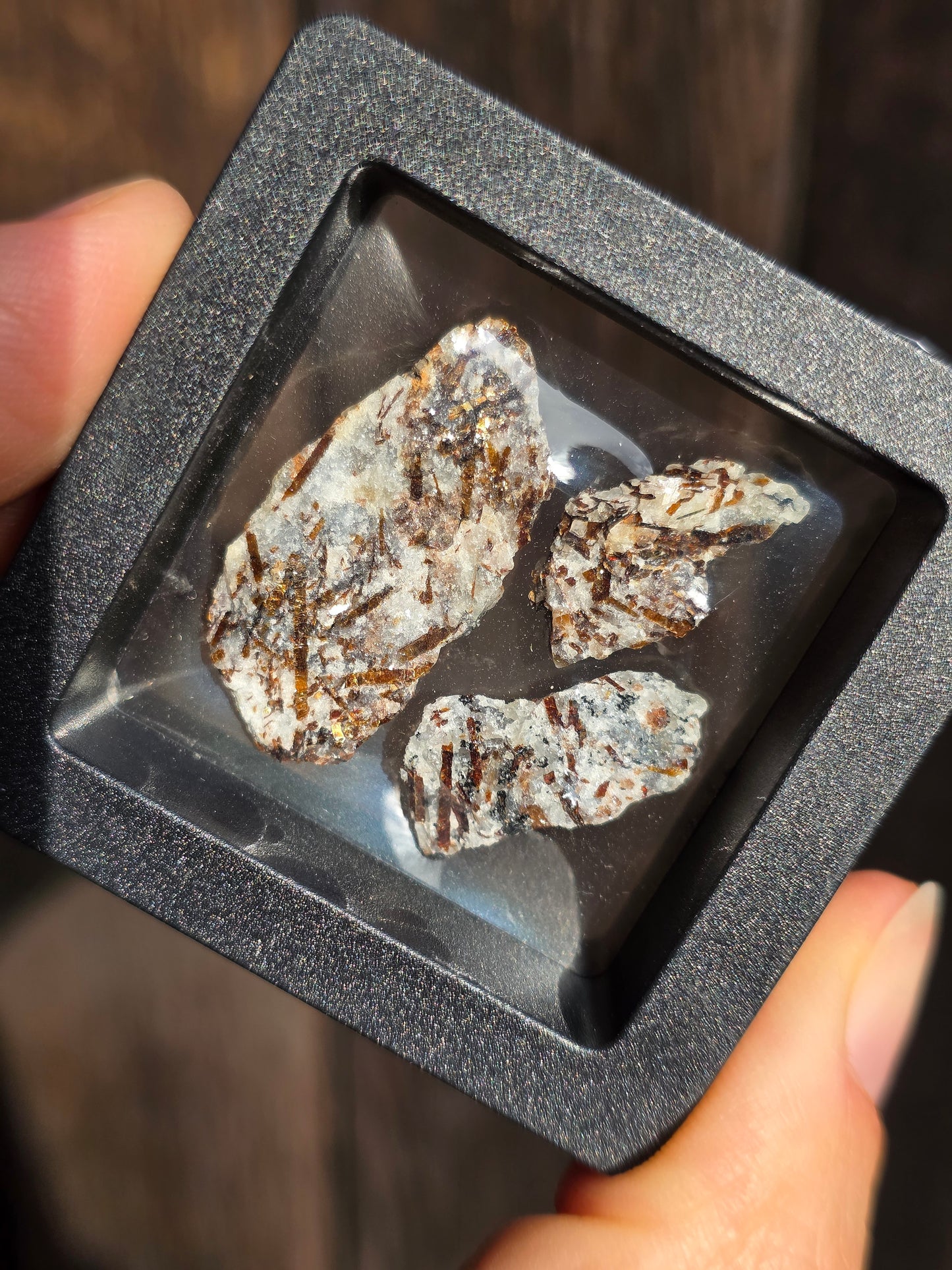Boîte vitrine contenant de l'Astrophyllite de Russie (à choisir)