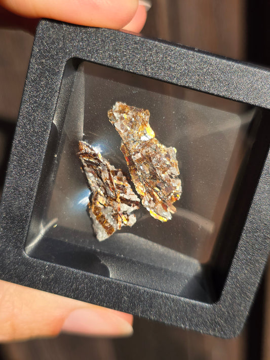 Boîte vitrine contenant de l'Astrophyllite de Russie (à choisir)