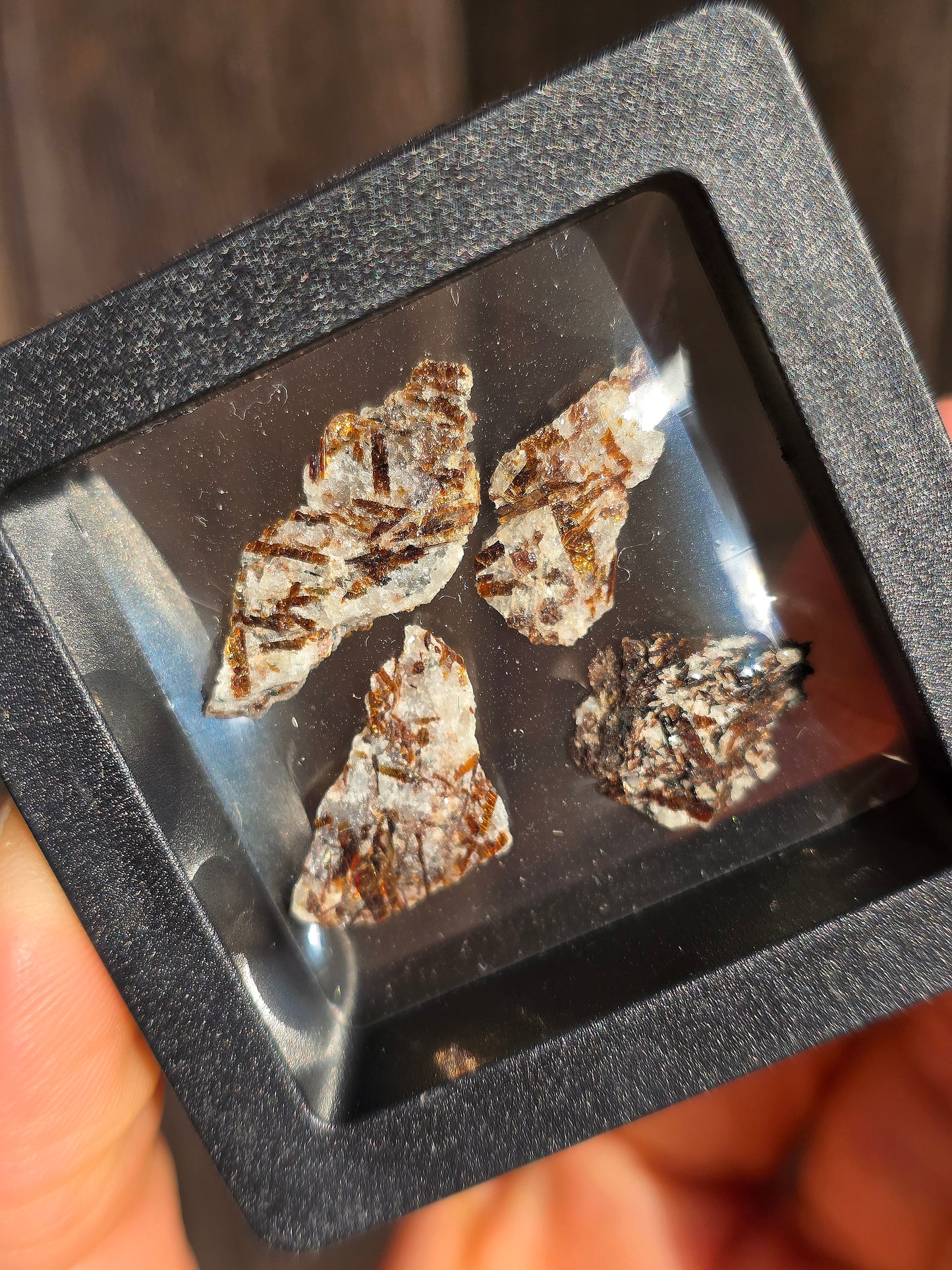 Boîte vitrine contenant de l'Astrophyllite de Russie (à choisir)