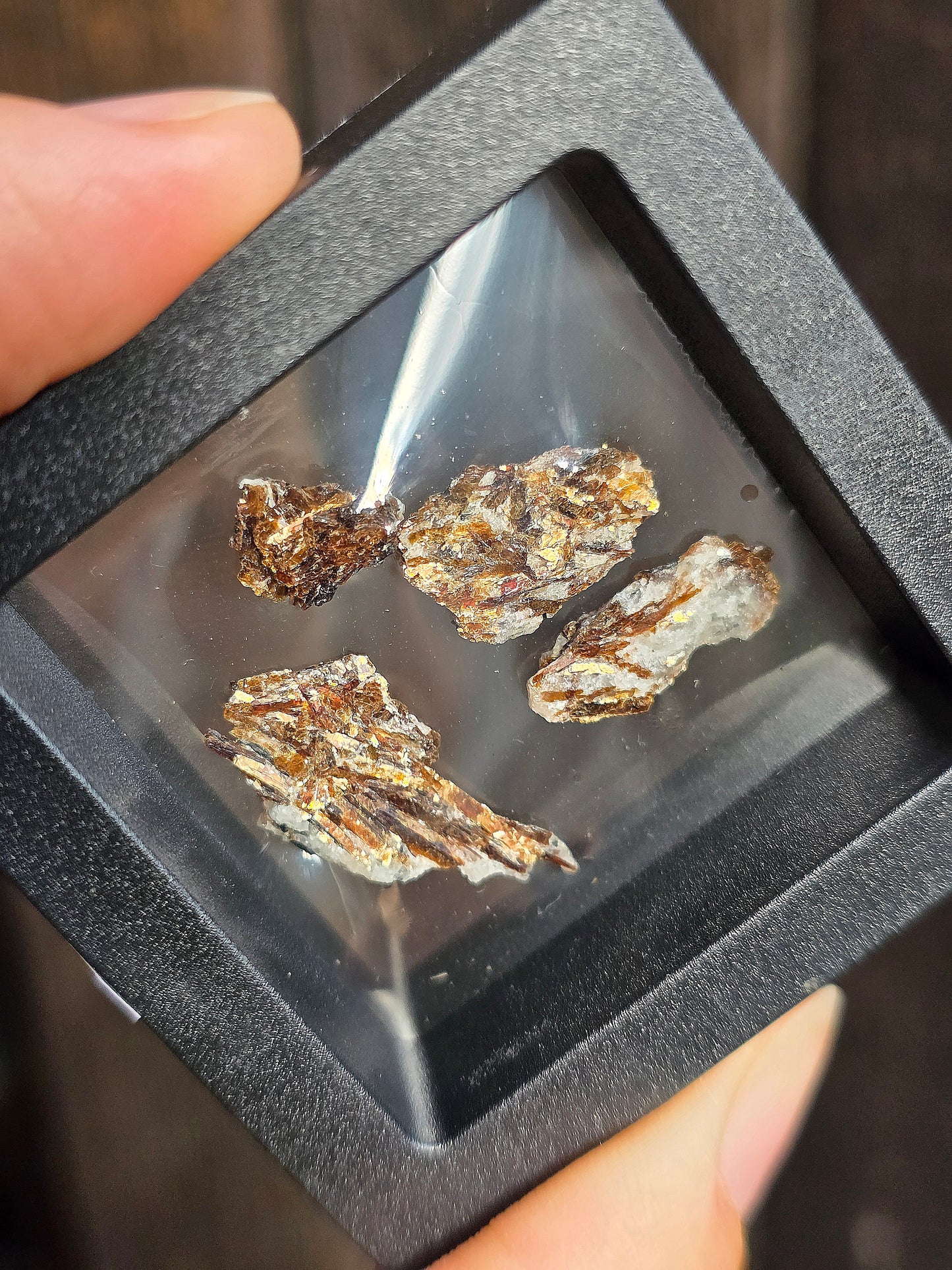 Boîte vitrine contenant de l'Astrophyllite de Russie (à choisir)