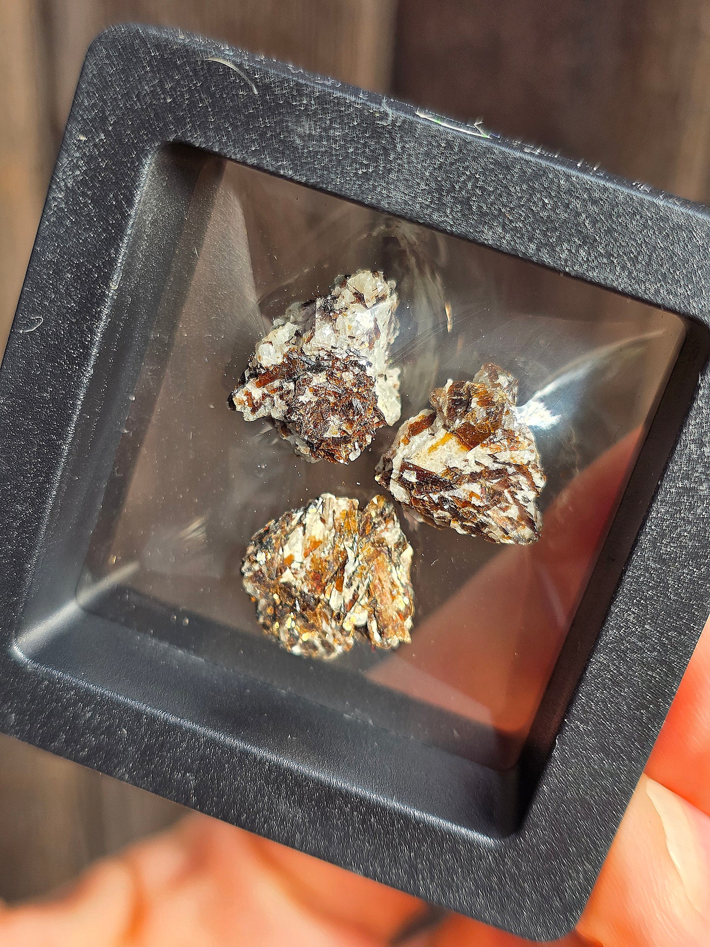 Boîte vitrine contenant de l'Astrophyllite de Russie (à choisir)
