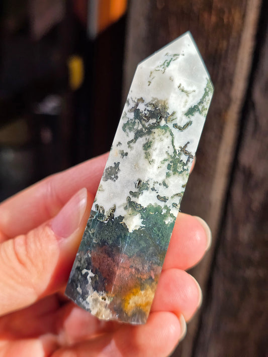 Pointe Agate arbre A10