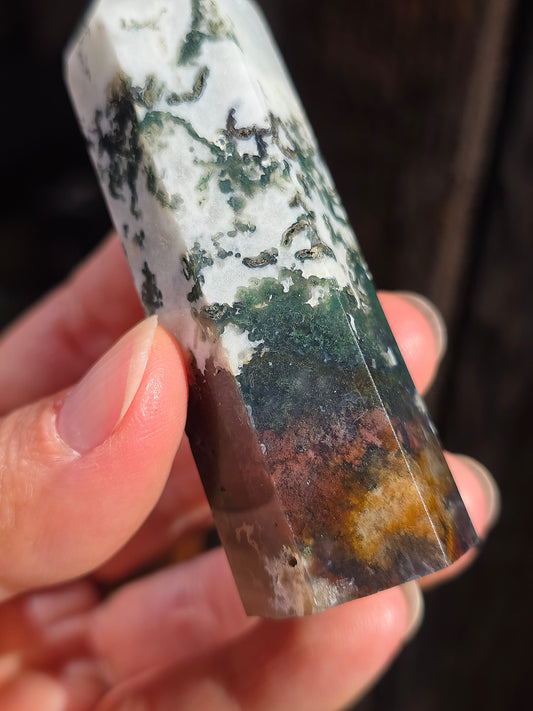 Pointe Agate arbre A10