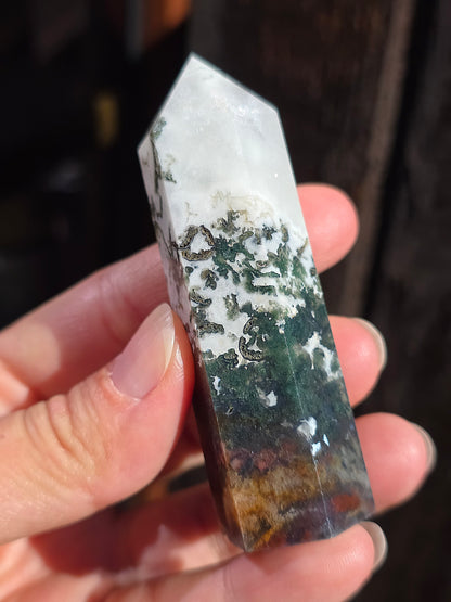 Pointe Agate arbre A10
