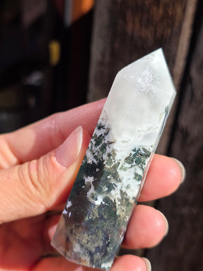 Pointe Agate arbre A10