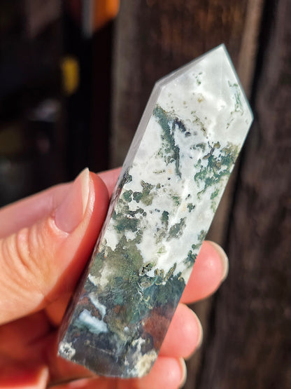 Pointe Agate arbre A10