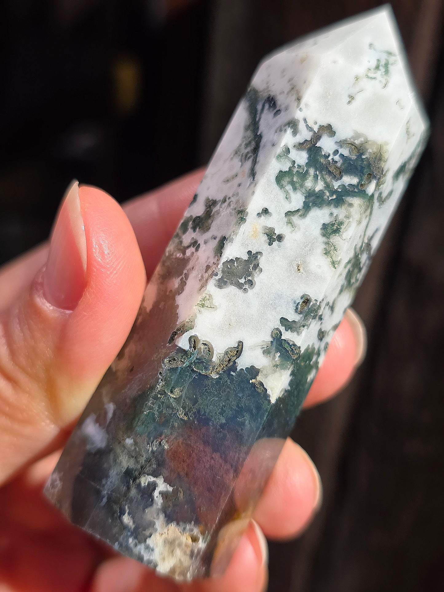 Pointe Agate arbre A10