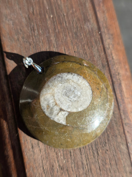 Pendentif Goniatite G1