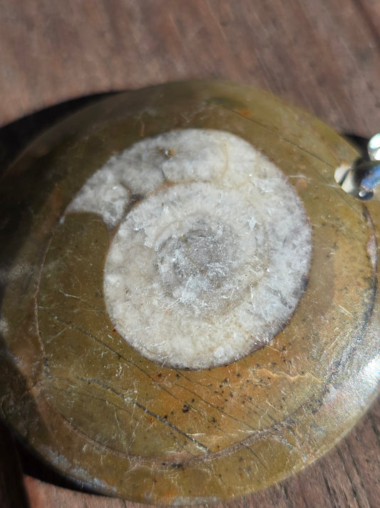 Pendentif Goniatite G1