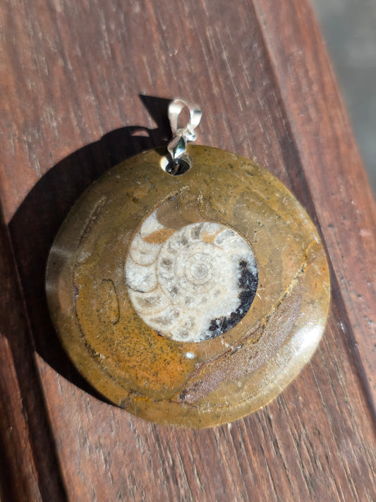 Pendentif Goniatite G2