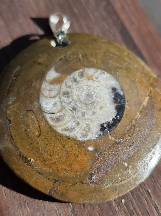 Pendentif Goniatite G2