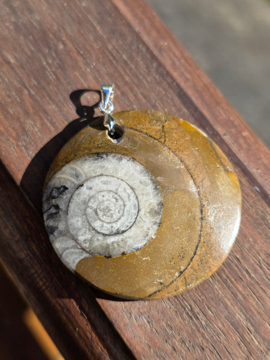 Pendentif Goniatite G3