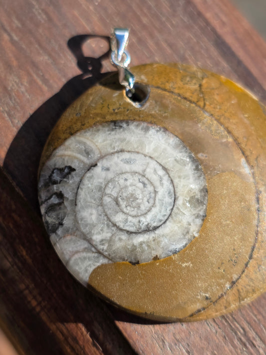 Pendentif Goniatite G3
