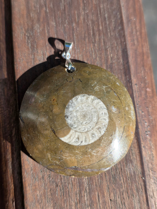 Pendentif Goniatite G4