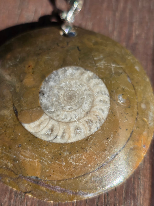 Pendentif Goniatite G4