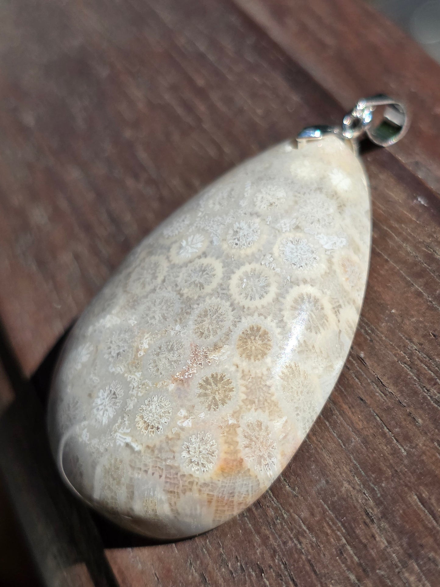 Pendentif Corail fossilisé