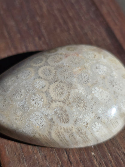 Pendentif Corail fossilisé