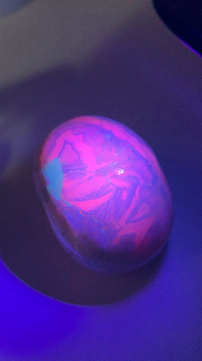 Crâne en Opale rose réactif UV