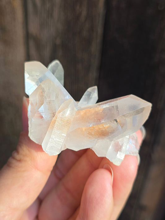 Quartz Himalaya (Samadhi) n°2