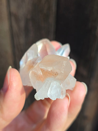 Quartz Himalaya (Samadhi) n°2