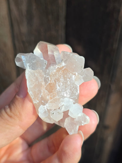 Quartz Himalaya (Samadhi) n°2