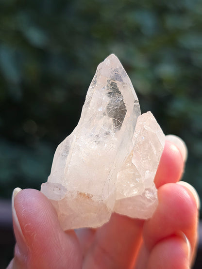 Quartz Himalaya (Samadhi) n°4