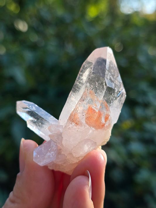 Quartz Himalaya (Samadhi) n°5