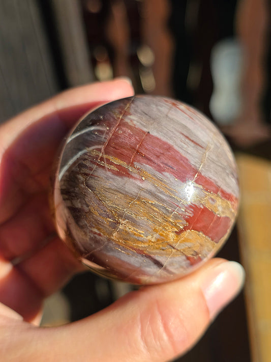 sphère en Bois Fossile (ou bois fossilisé ou pétrifié) de Madagascar
