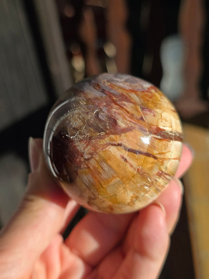 Sphère Bois Fossile