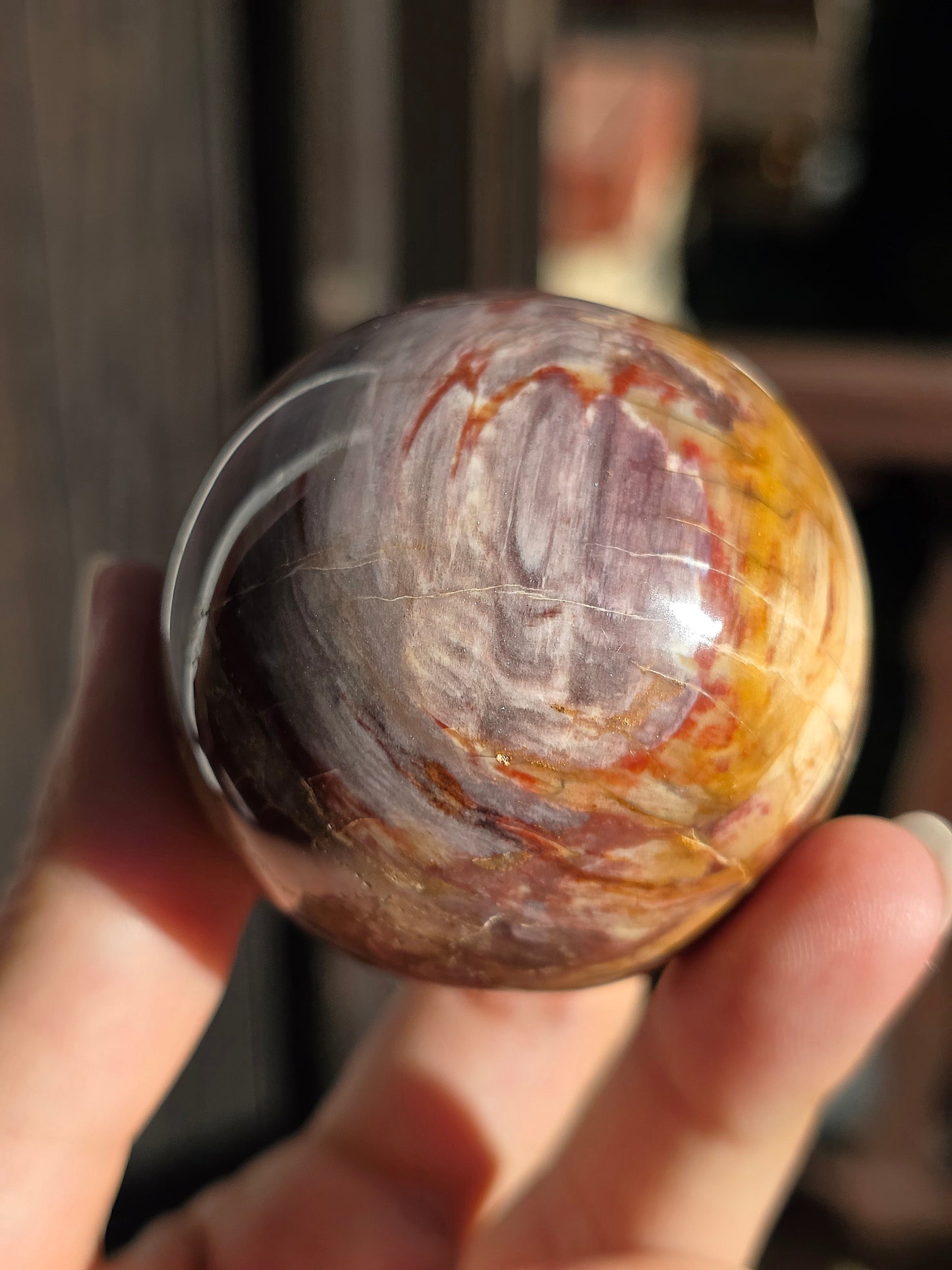 Sphère Bois Fossile