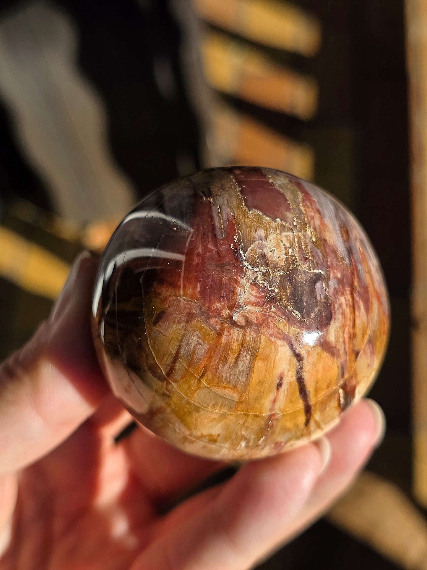 Sphère Bois Fossile