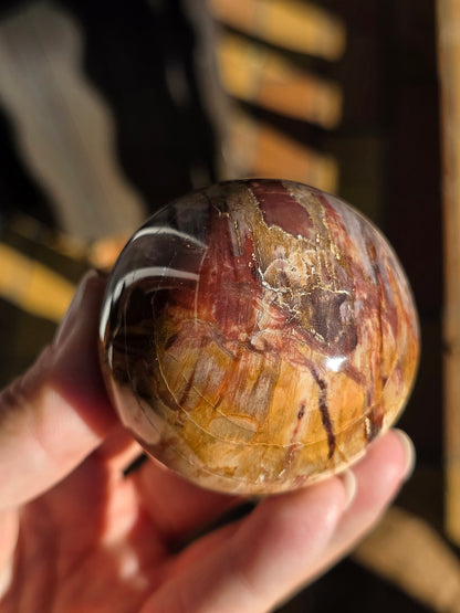 Sphère Bois Fossile