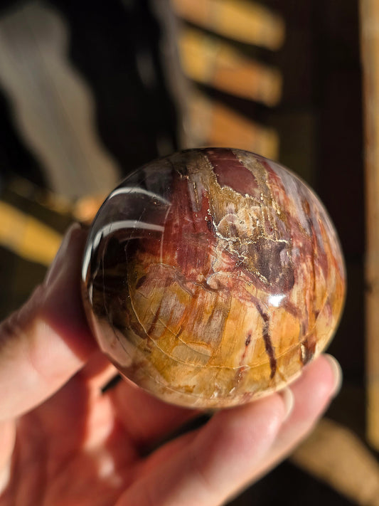 Sphère Bois Fossile