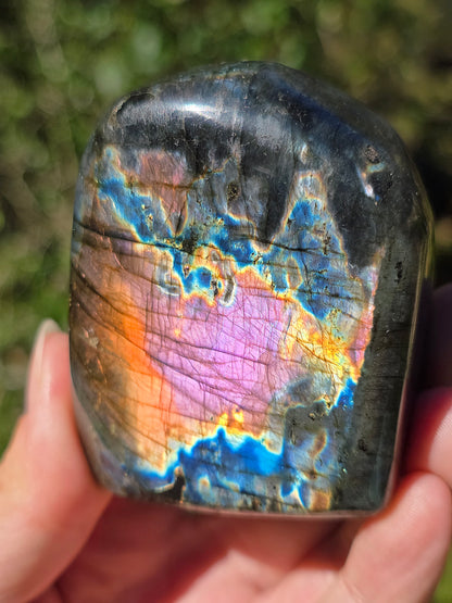Forme libre Labradorite L1
