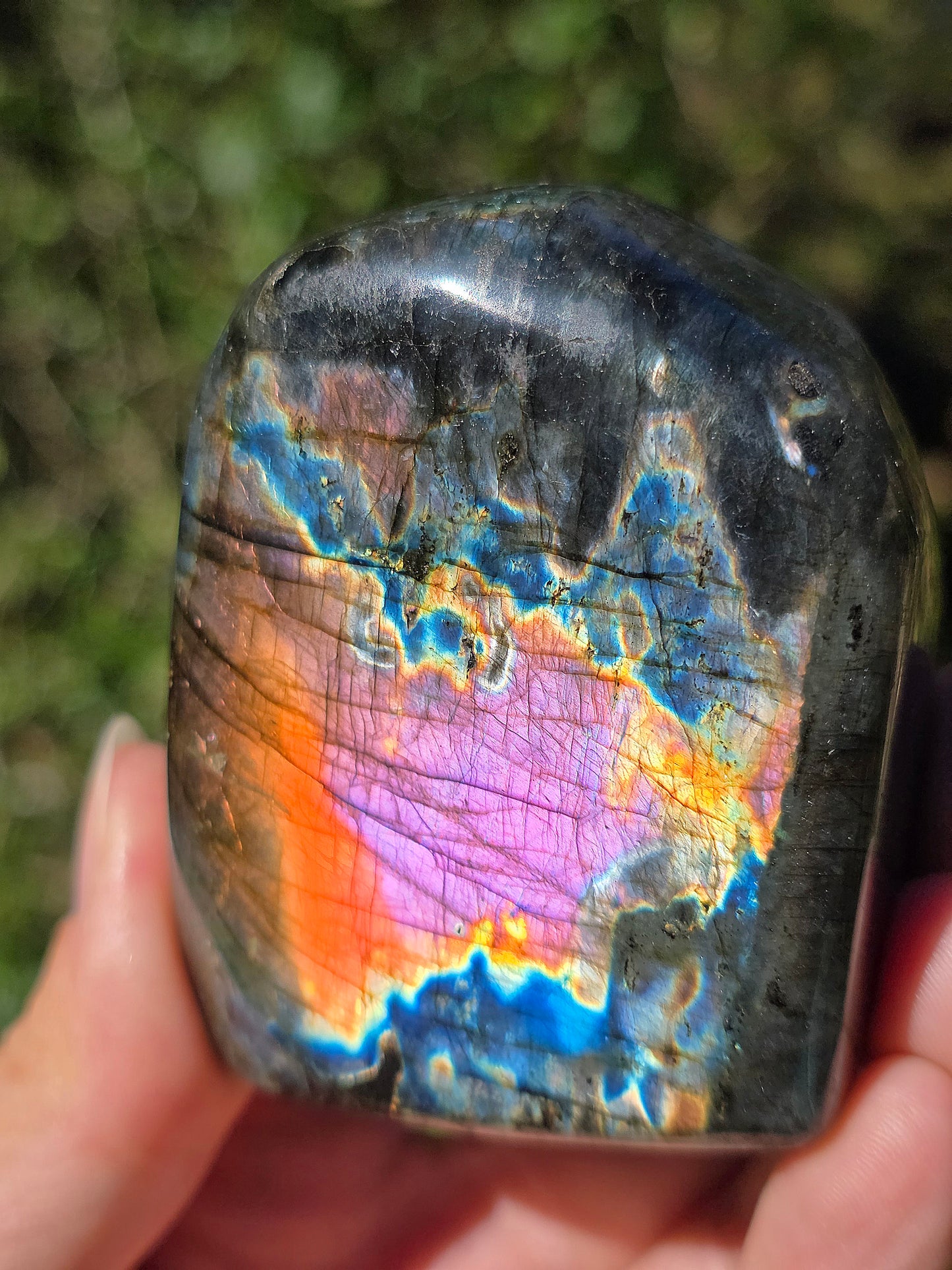 Forme libre Labradorite L1