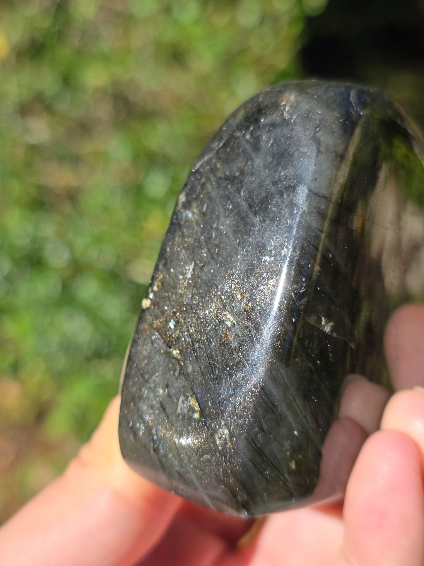 Forme libre Labradorite L1