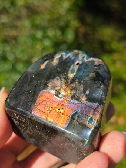 Forme libre Labradorite L1
