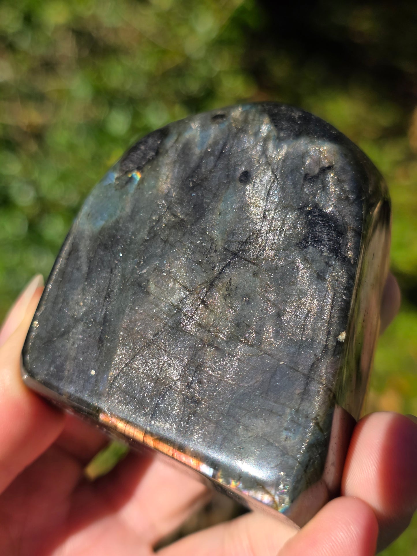 Forme libre Labradorite L1